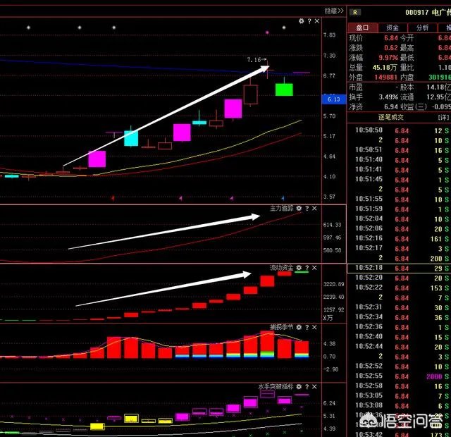 有哪些跟股票代码相关的秘密？它们是如何在市场中被发现的呢？