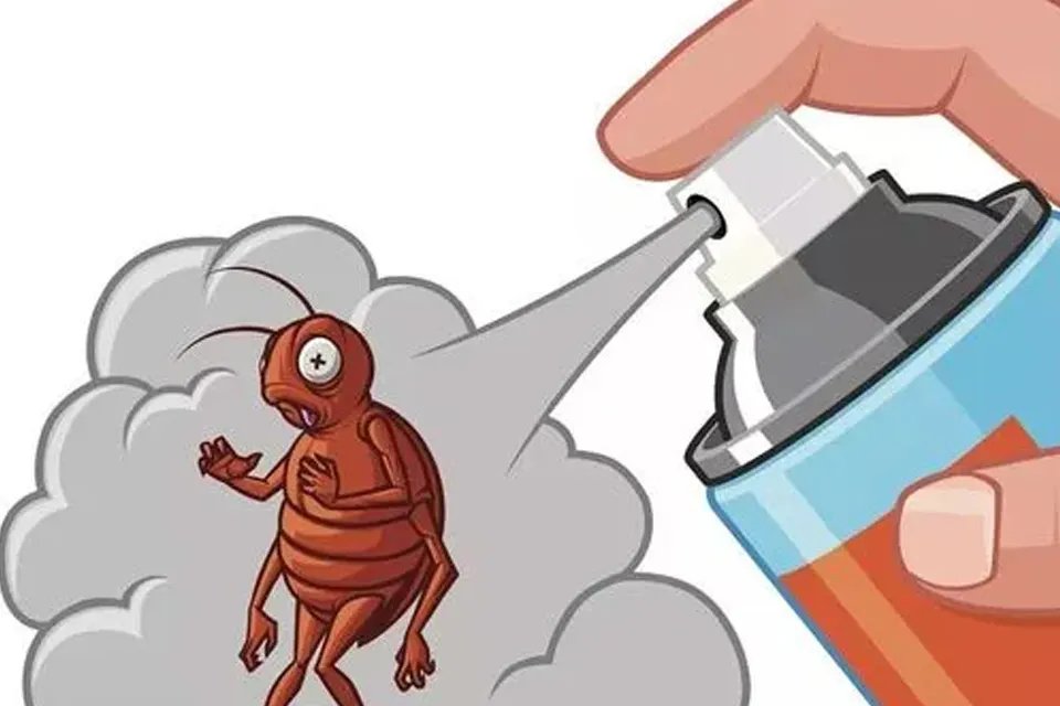 黑旋风能杀蟑螂吗 使用黑旋风杀虫剂需要注意什么