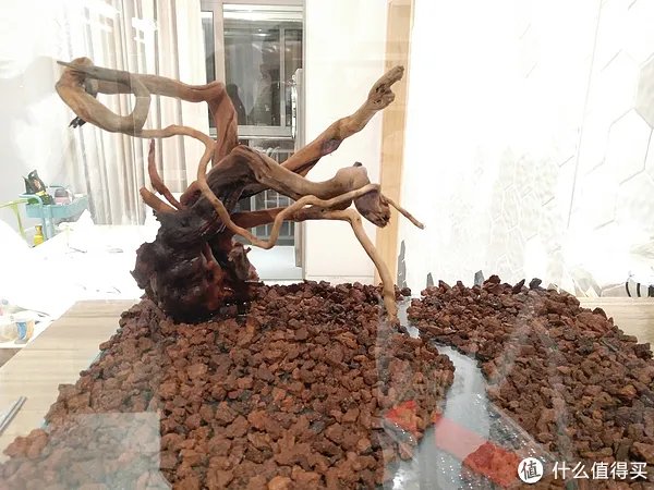 造景 篇一：小白也能玩草缸—聊一聊我的水草缸造景历程