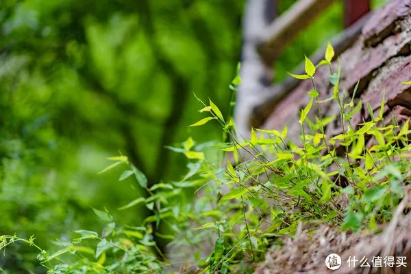 记一次黄河丹峡游记