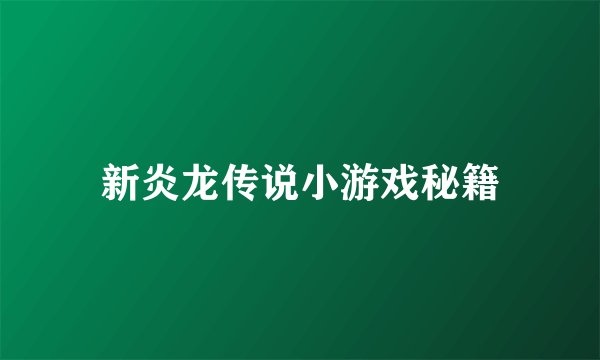 新炎龙传说小游戏秘籍