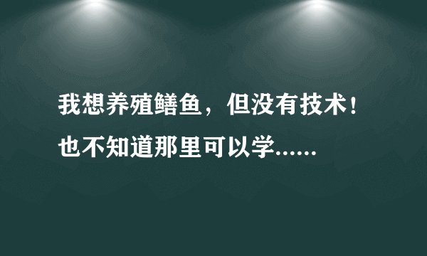 我想养殖鳝鱼，但没有技术！也不知道那里可以学......反正就是这一系列的问题没能够上！