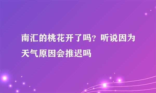 南汇的桃花开了吗？听说因为天气原因会推迟吗