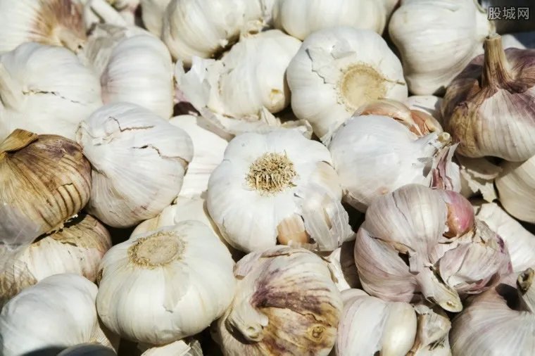 澶ц挏浠锋牸鏈€鏂拌鎯� 2019涓嬪崐骞村ぇ钂滀环鏍艰蛋鍔垮浣�