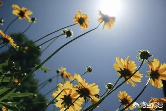 使用佳能微单M6是一种什么体验？