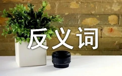 从前的反义词是什么