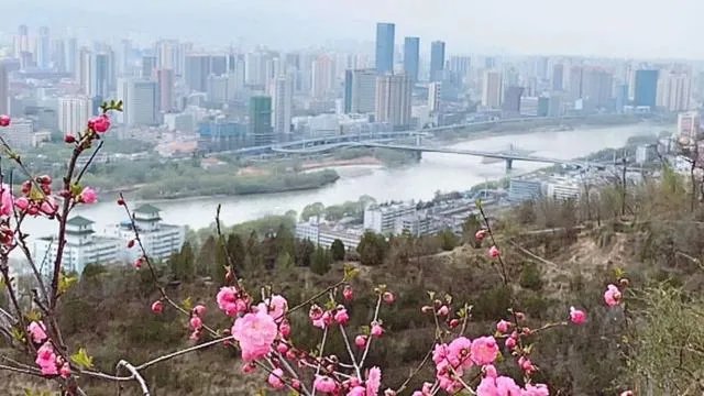 美国病例168万，死亡近10万，下个国家是巴西，还是印度？