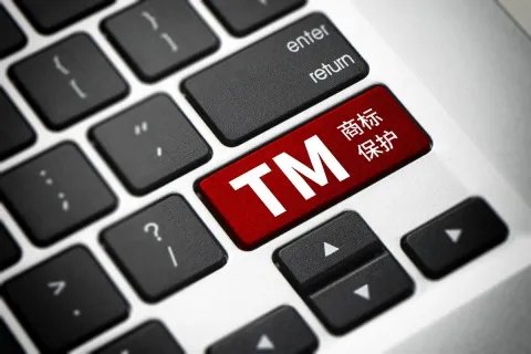 企业怎样进行商标维权