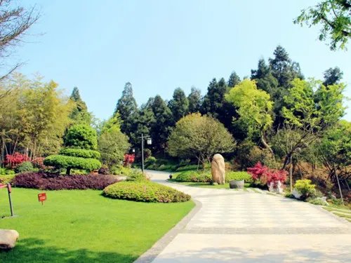 绿化率怎么计算公式