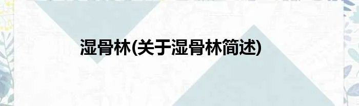 湿骨林(关于湿骨林简述)