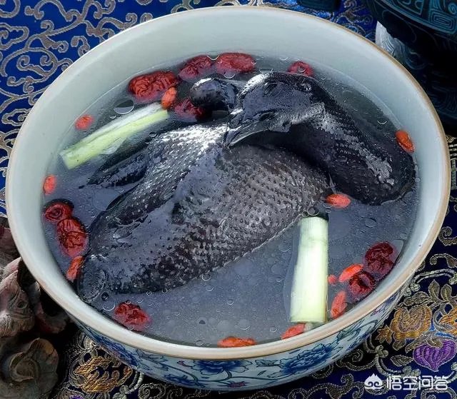 养绿壳蛋鸡有前景吗?有什么好建议?