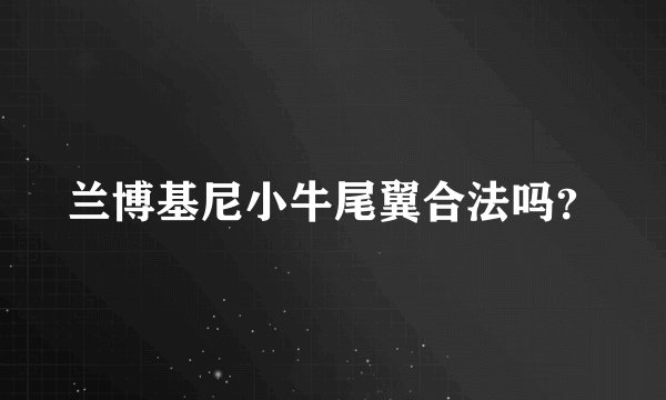 兰博基尼小牛尾翼合法吗？