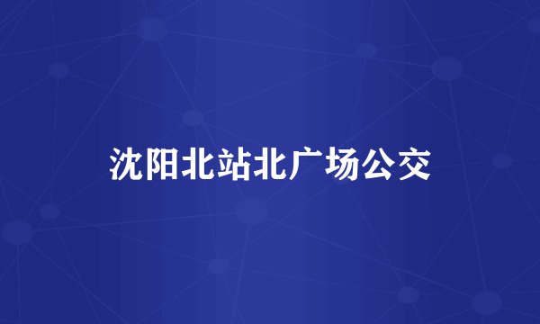 沈阳北站北广场公交