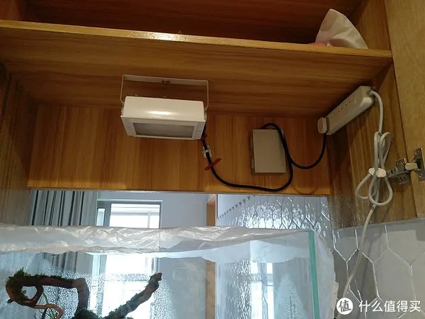 造景 篇一：小白也能玩草缸—聊一聊我的水草缸造景历程