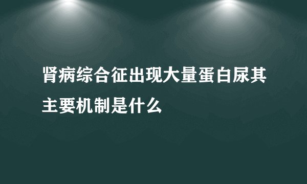 肾病综合征出现大量蛋白尿其主要机制是什么