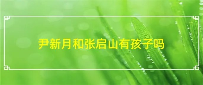 尹新月和张启山有孩子吗