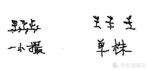 造景 篇一：小白也能玩草缸—聊一聊我的水草缸造景历程