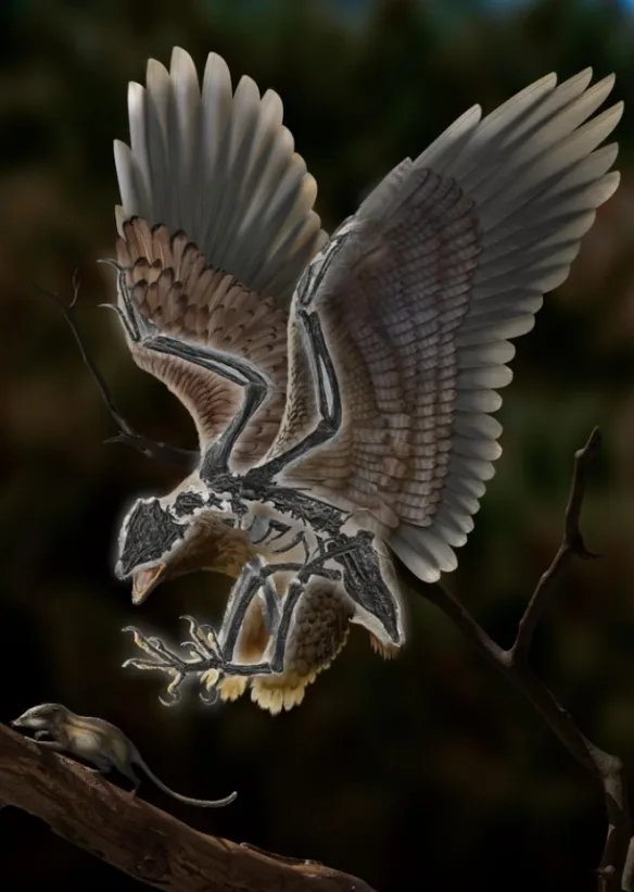 长着恐龙头骨和怪异身体！中国发现1.2亿年前鸟类！