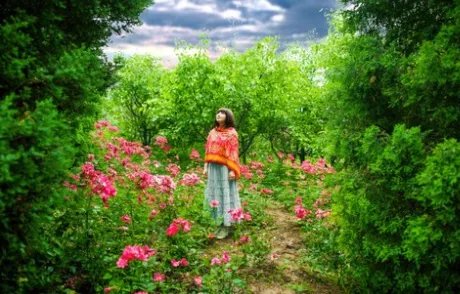 摄影技术与技巧