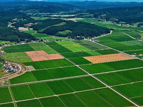 土地现状分类有哪些