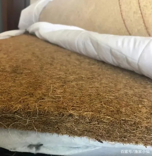 硬棕垫的胶水有毒么