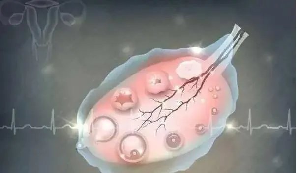 供卵价格-2023捐卵捐精试管婴儿多少钱？