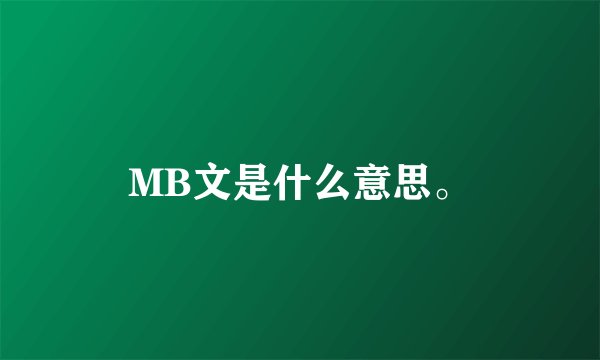 MB文是什么意思。