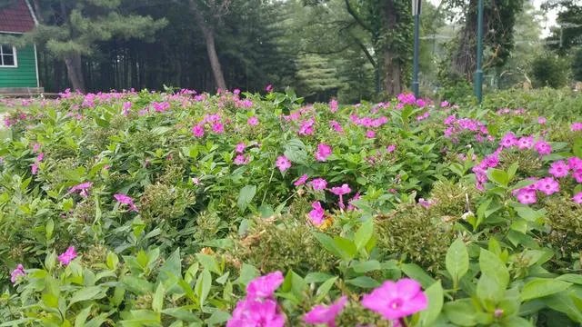 沈阳世博园怎么样?