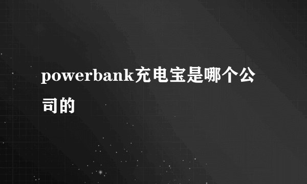 powerbank充电宝是哪个公司的