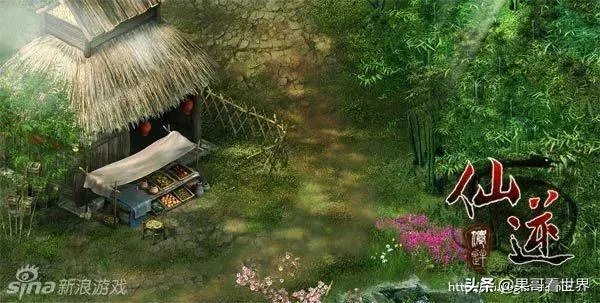 逆仙王林渡劫时看到了自己