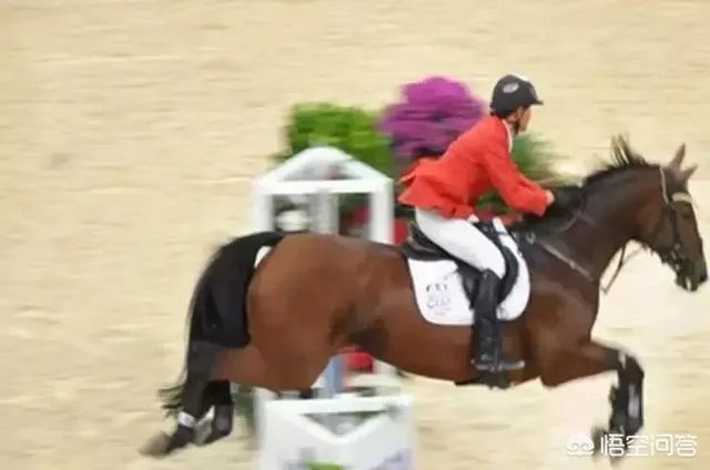 小白怎么学习摄影？