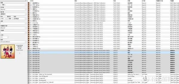 无损音乐文件的整理（dff、dsf篇）
