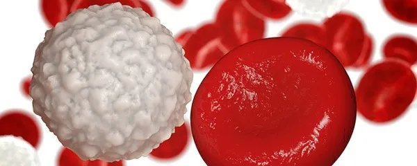 白细胞高的原因