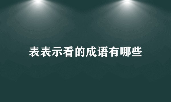 表表示看的成语有哪些