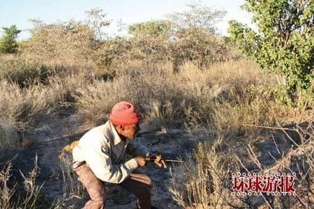 布须曼人的概况