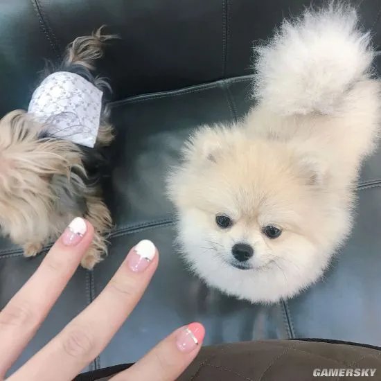 韩国女数学老师走红 网友:老师我想学数学