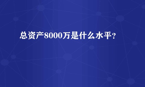 总资产8000万是什么水平？