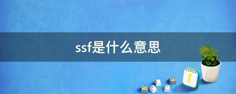 ssf是什么意思