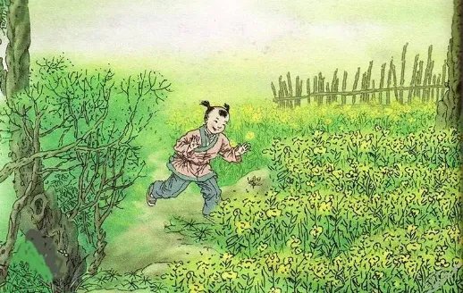 宿新市徐公店古诗意思是什么？