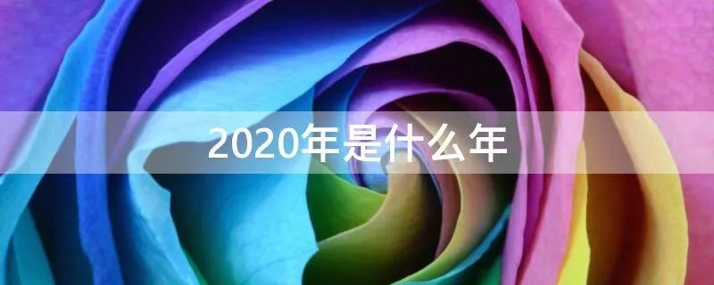 2020年是什么年