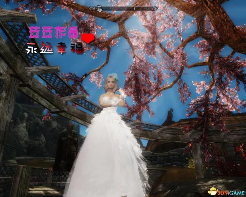 上古卷轴5 玲玲作品 落英超美婚沙 已迷死万千女性