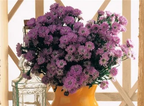 鲜花如何保鲜 让鲜花保鲜的10种简单方法推荐