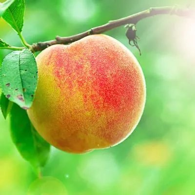 得了高血压怎么办？