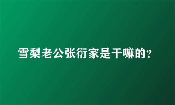 雪梨老公张衍家是干嘛的？