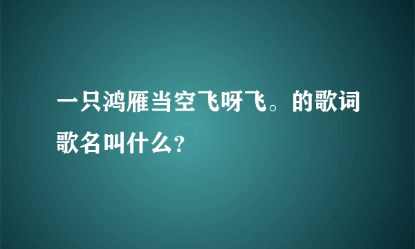 一只鸿雁当空飞呀飞。的歌词歌名叫什么？