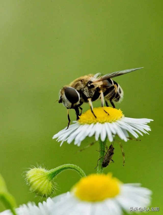 小白怎么学习摄影？