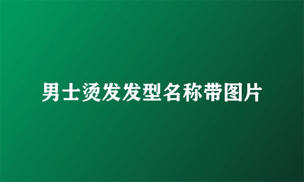 男士烫发发型名称带图片