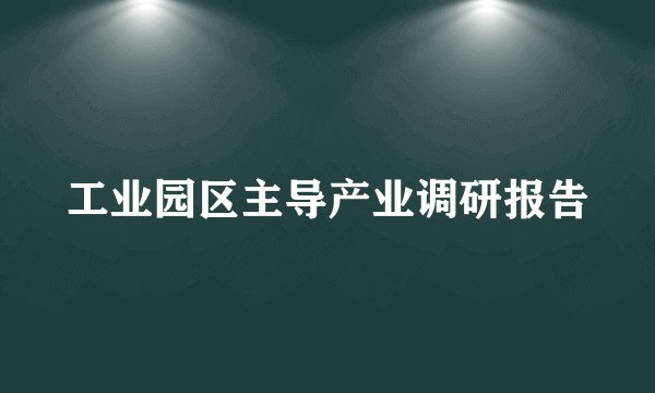 工业园区主导产业调研报告