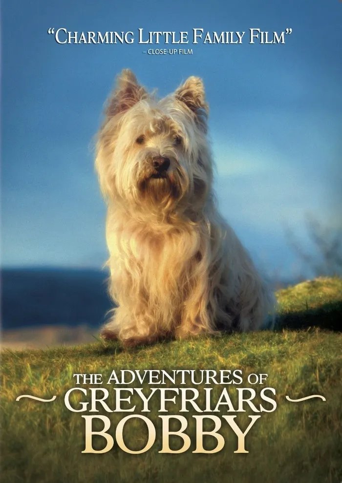 忠狗巴比传奇的剧情简介