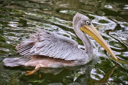 使用佳能微单M6是一种什么体验？